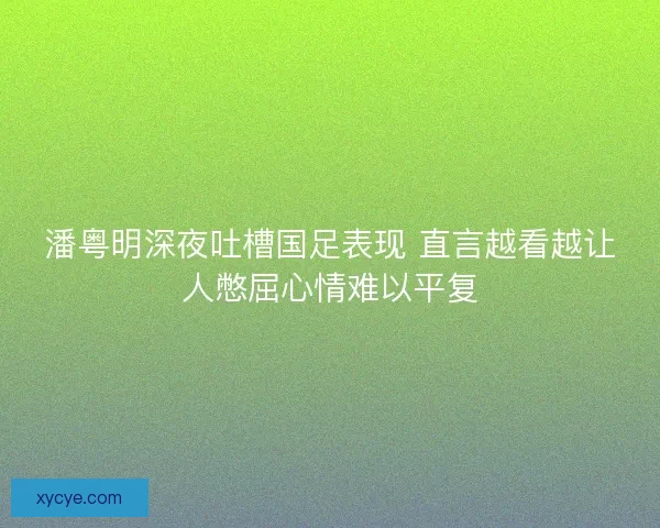 潘粤明深夜吐槽国足表现 直言越看越让人憋屈心情难以平复